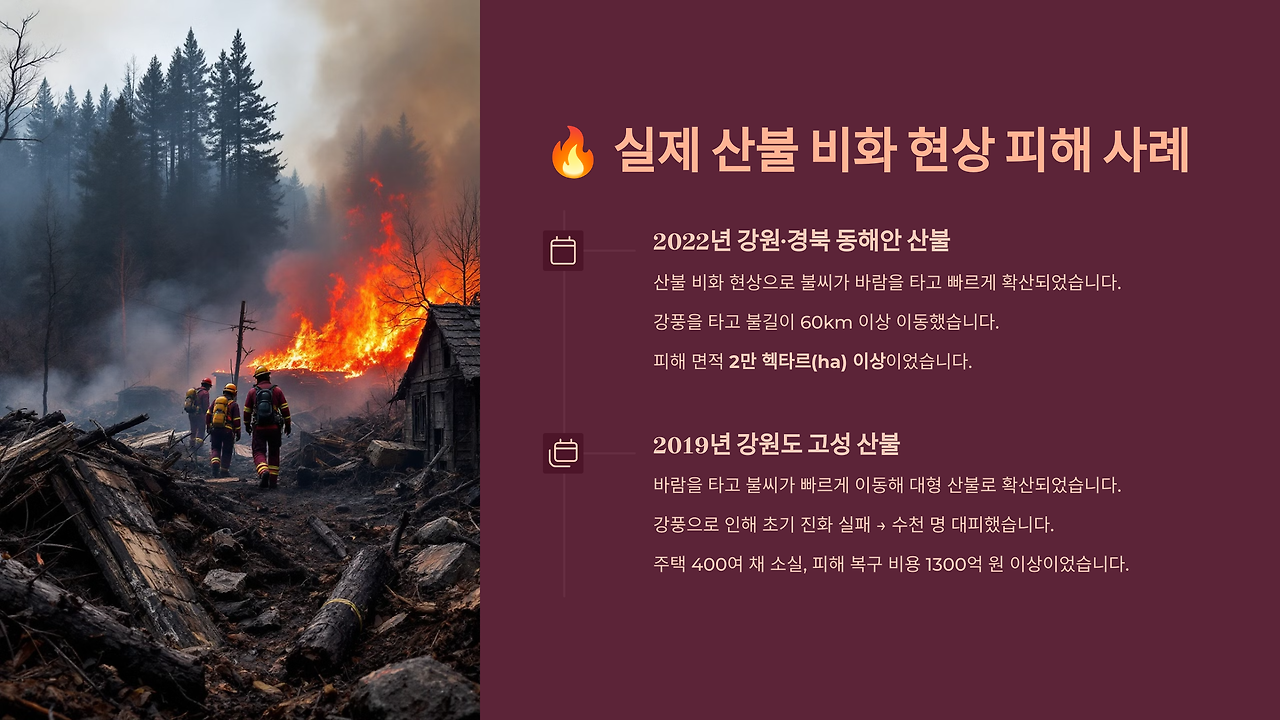 실제 피해 사례