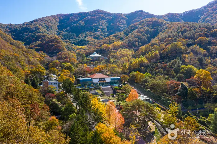 대아 수목원 전경 이미지