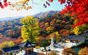 10월 서울근교 가볼만한 곳 베스트