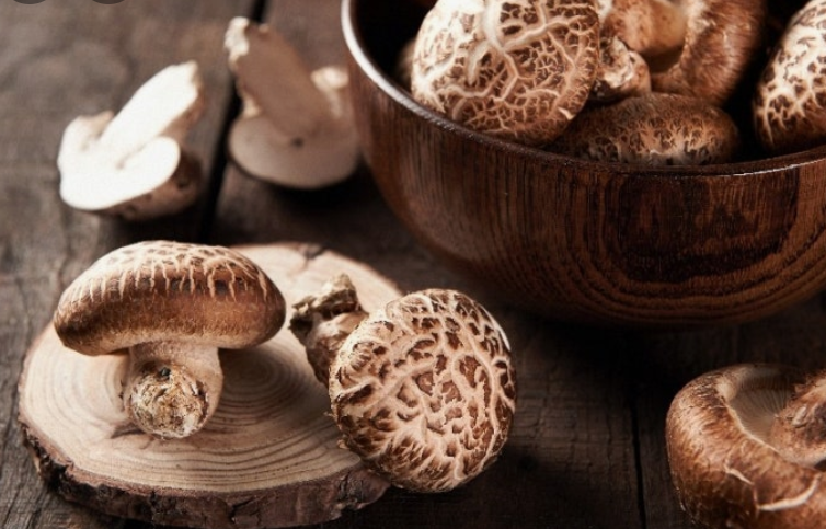 건강관리 색재료인 표고버섯 사진