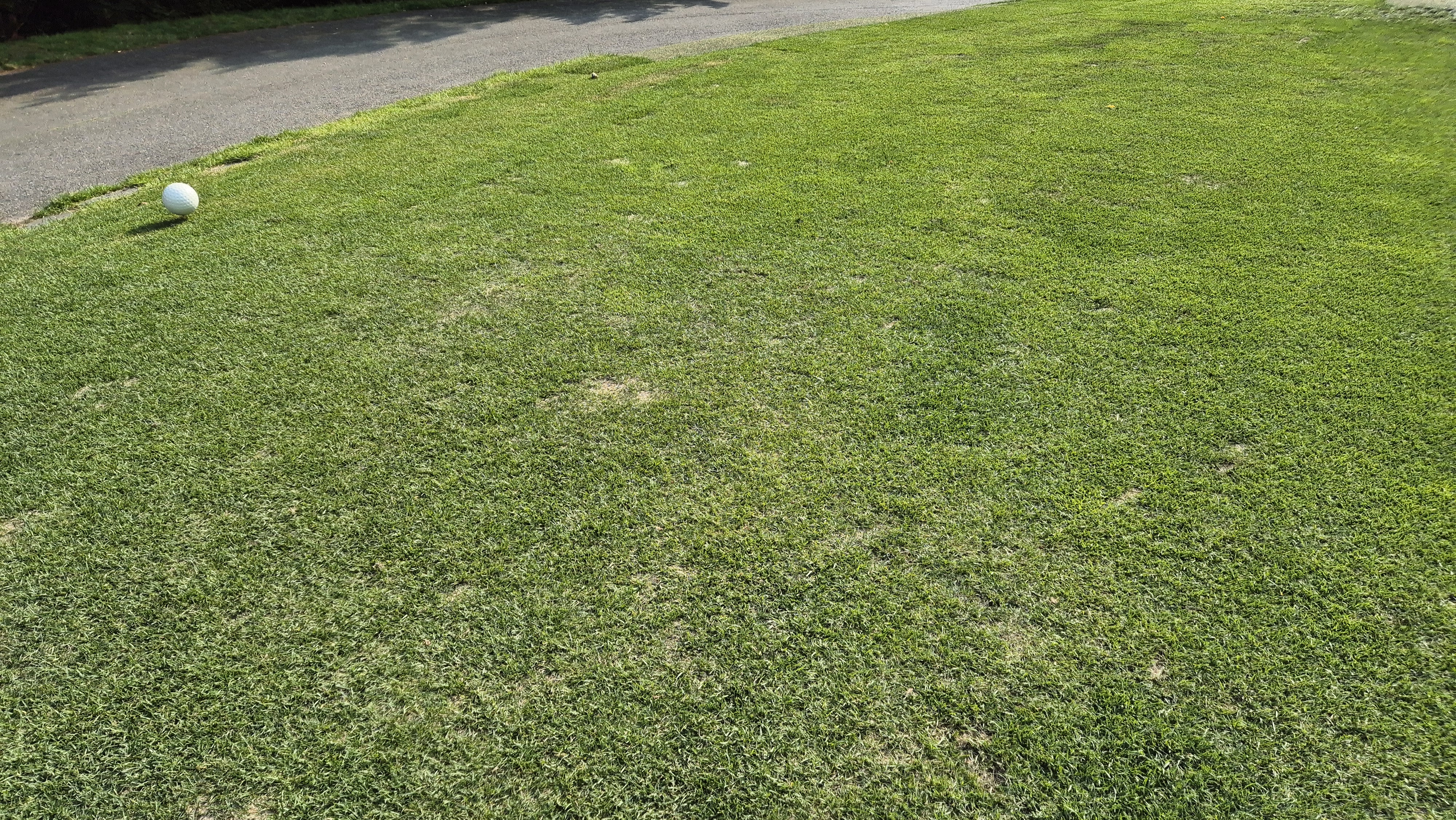 오너스gc 라운드 후기