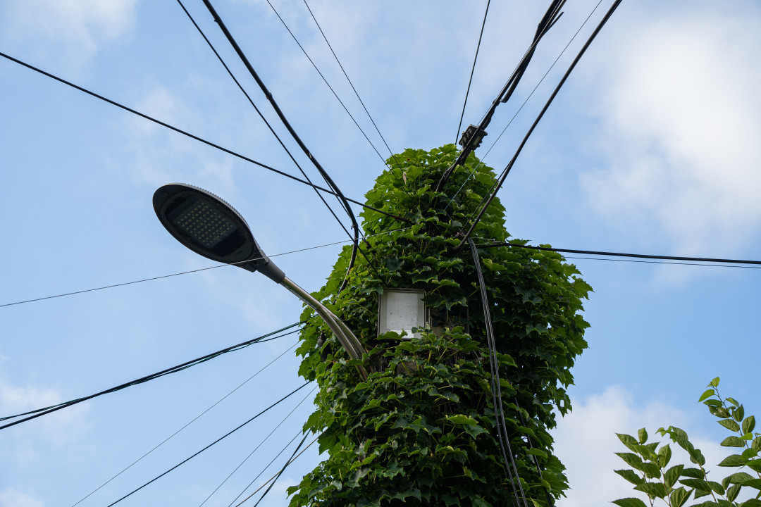 행궁동 벽화마을 세월의 흔적