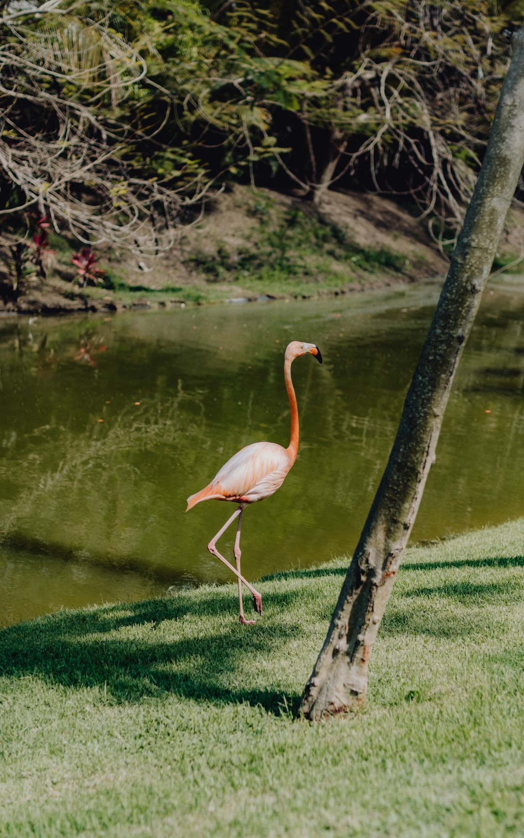 토스인컴 환급 vs 국세청 원클릭 서비스: 어떤 선택이 더 나을까? 관련 이미지 2