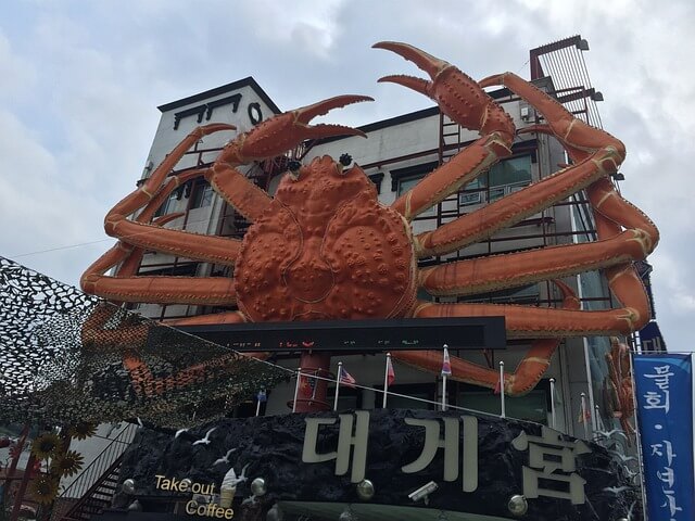 킹크랩 시세 조회 방법