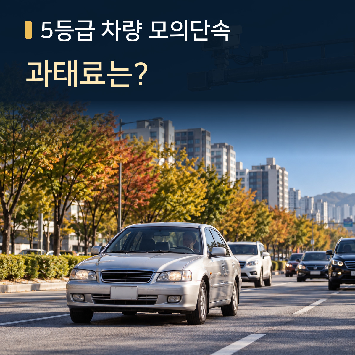 가을철 도심 도로에서 달리는 은색 승용차와 5등급 차량 모의단속을 알리는 대표 이미지