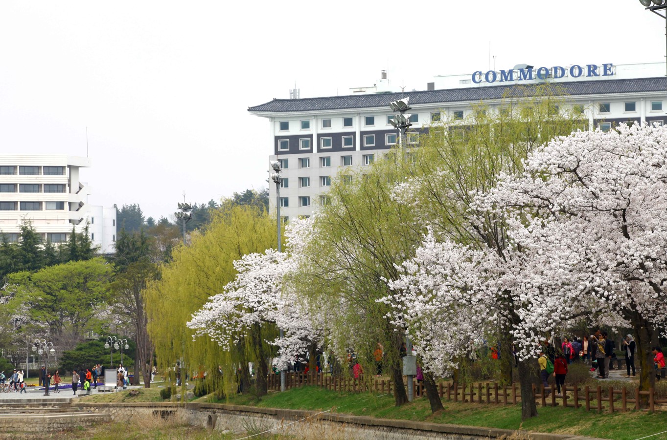 코모도-호텔-경주