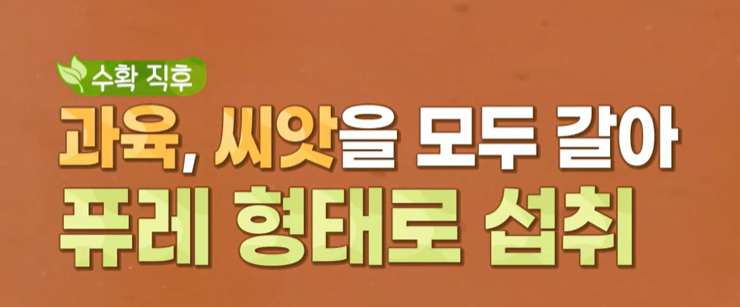 로즈힙 먹는 방법