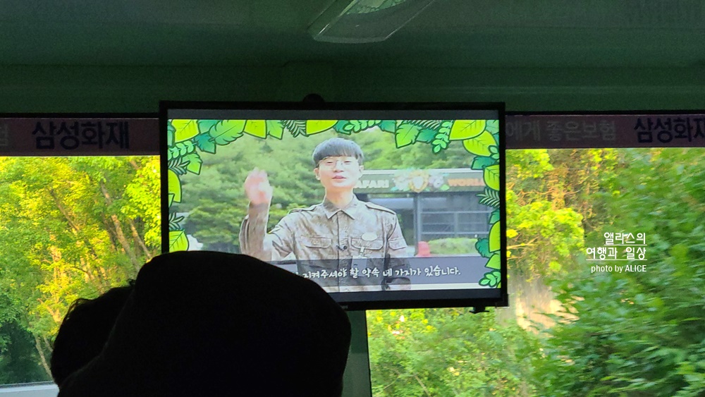 에버랜드 사파리 월드 꿀팁 (예약, 트램 좌석), 자유이용권 할인