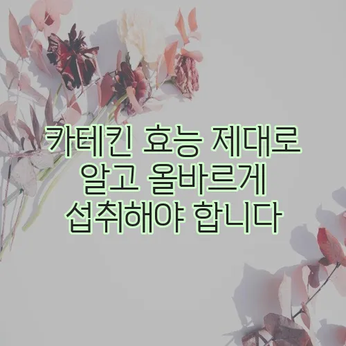 카테킨 효능 제대로 알고 올바르게 섭취해야 합니다