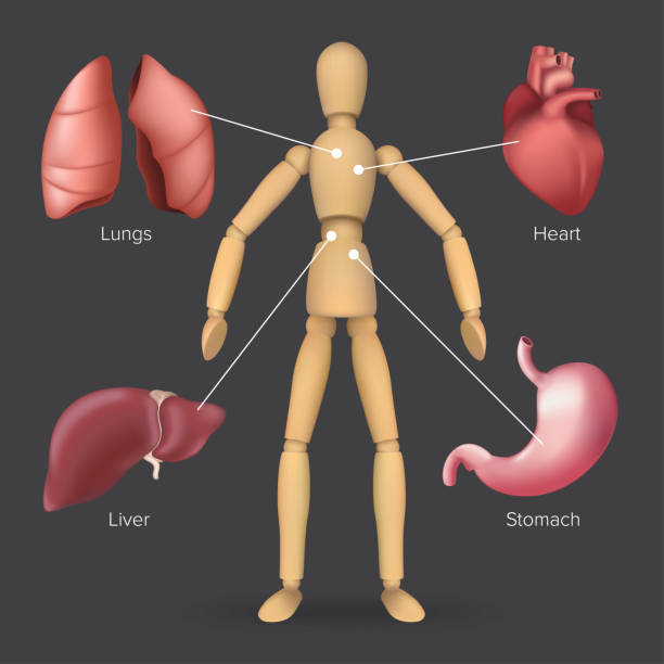 대사성 알칼리증 원인