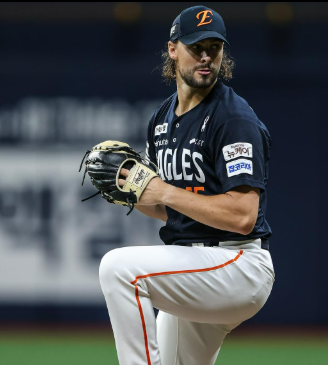 한화이글스 김승연