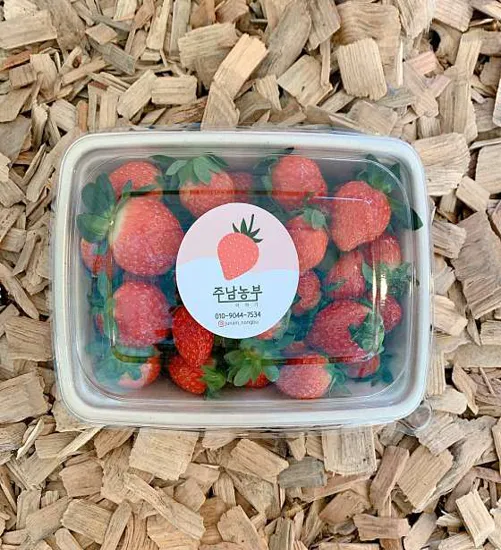 주남농부더하기