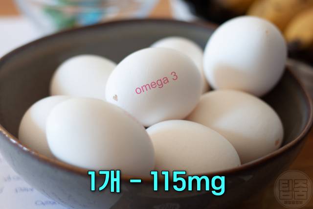 오메가3 많은 음식 강화 계란 생선 말고 제외