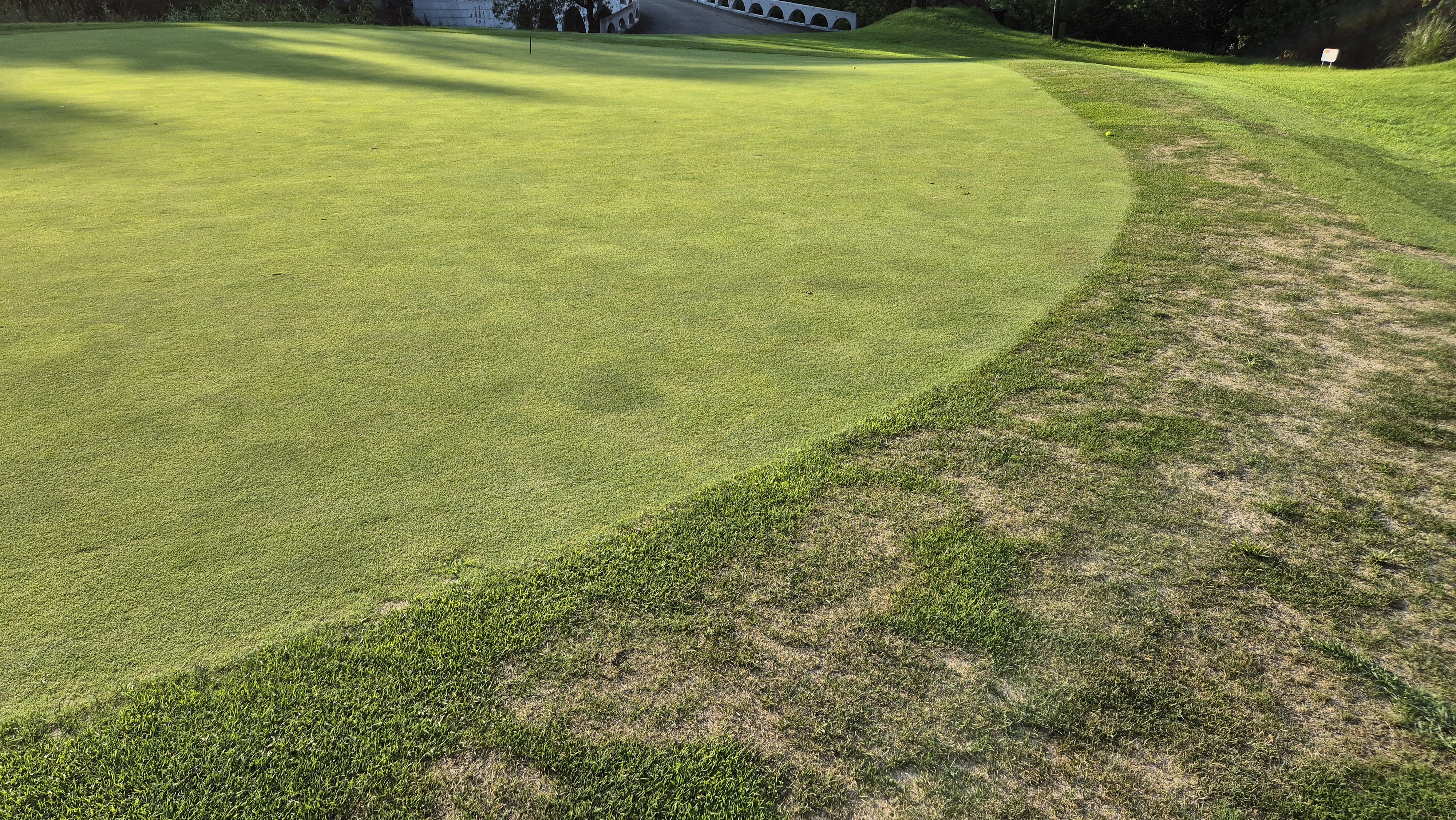 대영힐스cc 청-력 코스 라운드 후기