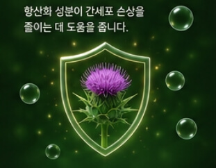 밀크씨슬 효과와 복용법