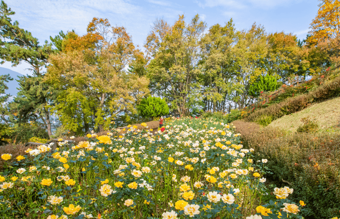 돝섬해양유원지