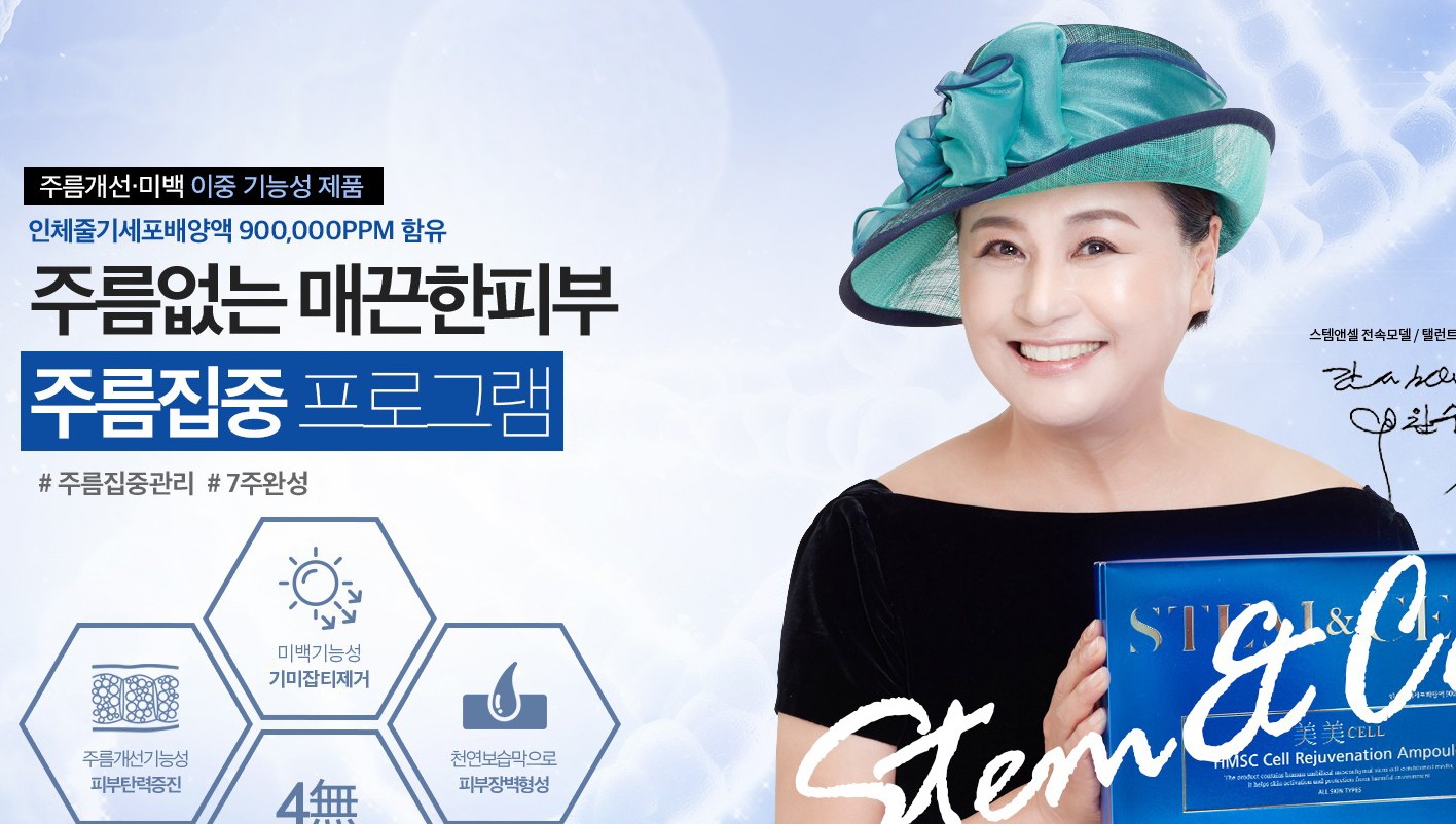 스템앤셀