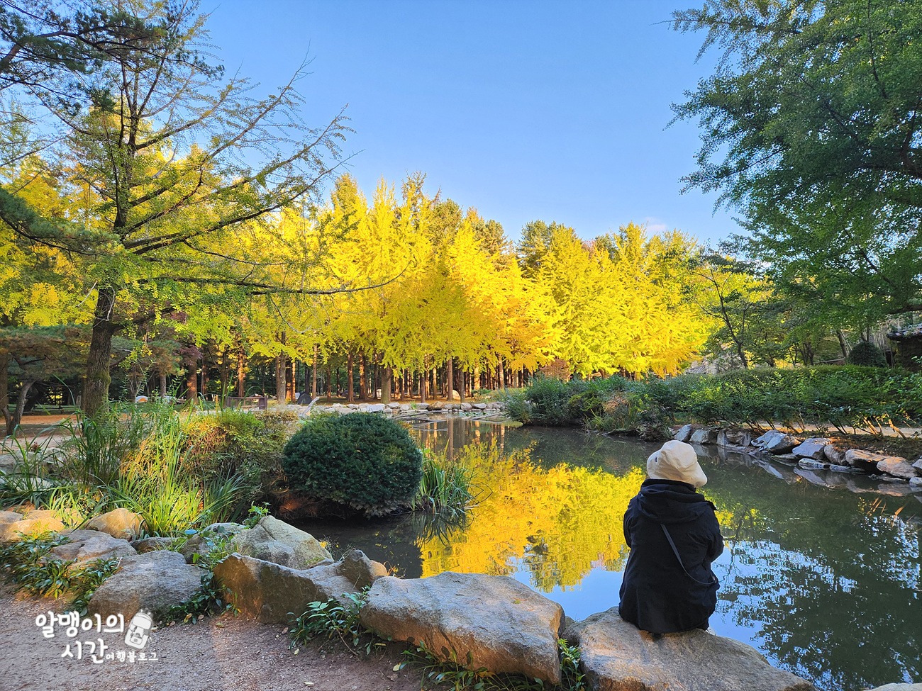 #27 엄마랑 춘천 남이섬 모녀 백패킹 _캠핑 초보자 박지 추천 - undefined - 첫 배 들어오기 전 고요한 남이섬의 아침 #27 엄마랑 춘천 남이섬 모녀 백패킹 _캠핑 초보자 박지 추천 - undefined - 첫 배 들어오기 전 고요한 남이섬의 아침