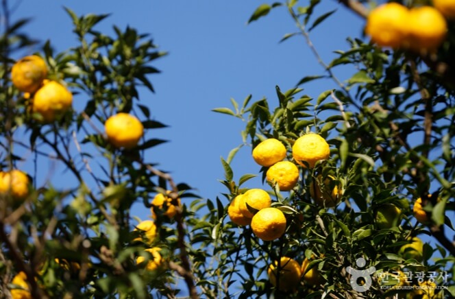 고흥 가볼만한곳 베스트 10