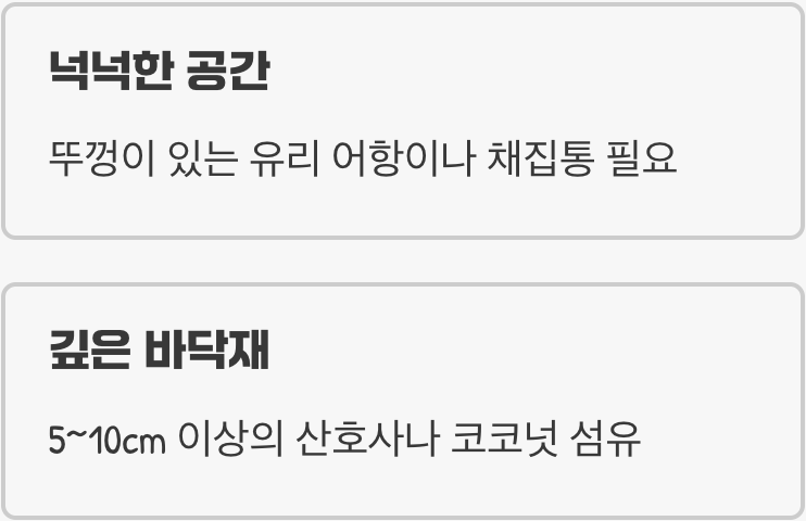 사육장 - &amp;#39;집&amp;#39;이 아니라 &amp;#39;작은 해변&amp;#39;을 만들어주세요