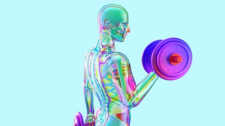 운동을하는-신체-해부도