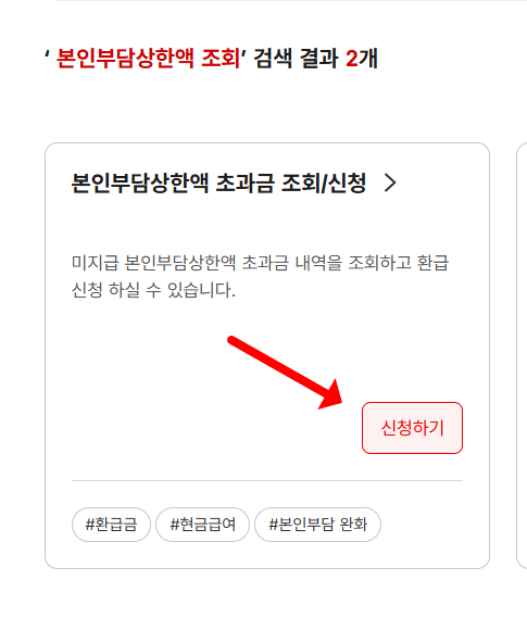 의료비 본인 부담금 상환액 초과환급금