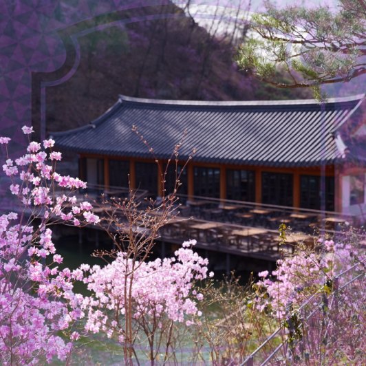 화담숲 예약방법