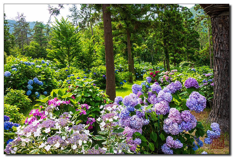 해남 가볼만한곳 베스트10