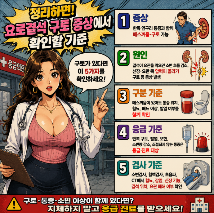 요로결석 구토 증상에서 확인할 증상, 원인, 구분 기준, 응급 기준, 검사 기준을 요약한 옛날 만화 스타일 인포그래픽