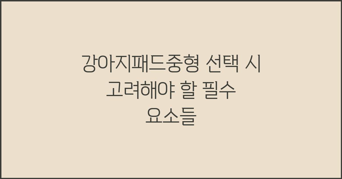 강아지패드중형