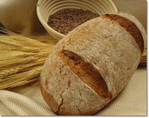 호밀 및 호밀 빵