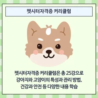 펫시터자격 교육과정 활동영역 창업준비 시니어 돌봄 일거리 찾기_7