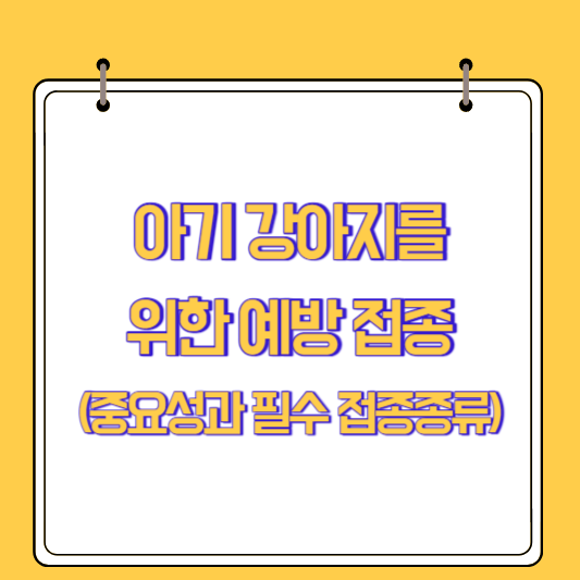 아기 강아지를 위한 예방 접종: 중요성과 필수 접종 종류