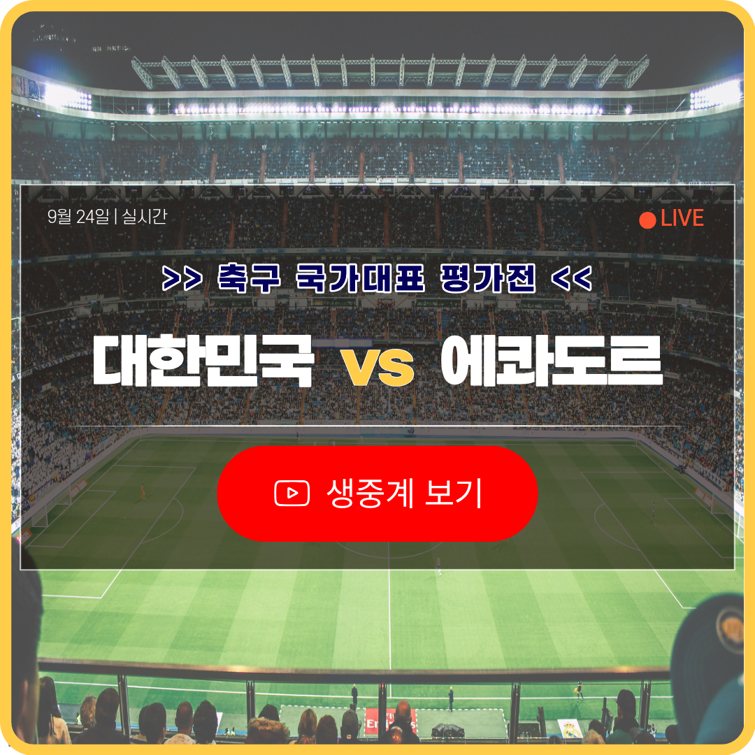 대한민국 에콰도르 축구 중계 라이브 다시보기