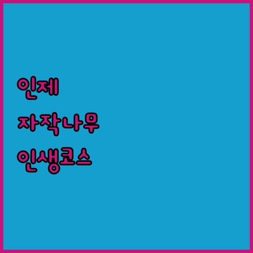 강원도 인제 원대리 자작나무 숲 여행..