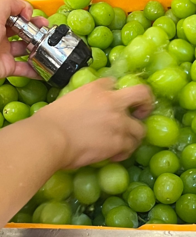 탕후루 알바 후기