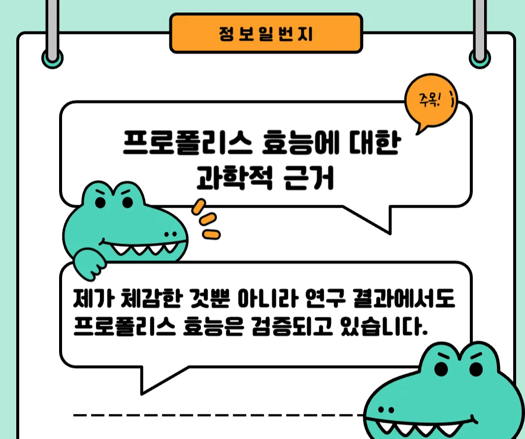 프로폴리스-효능-후기-기관지