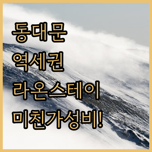 동대문 쇼핑 여행 필수 코스 역세권 ..