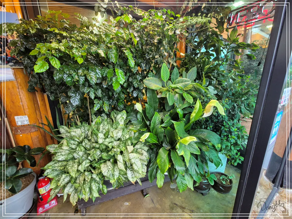 전라도-군산-가족여행-해산물-맛집-입구의-식물