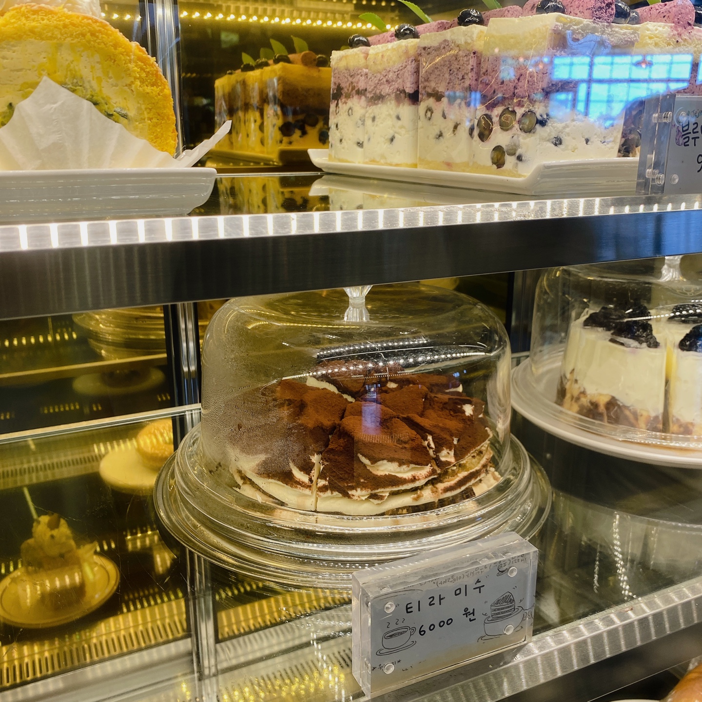 제주 노형동 러브랜드 정원카페 미스틱3도 피크닉 한라봉 흑돼지