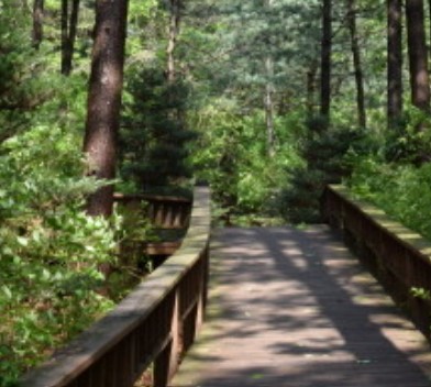 숲나들e 국립 산음 자연휴양림 국내 여행지 추천 관련사진