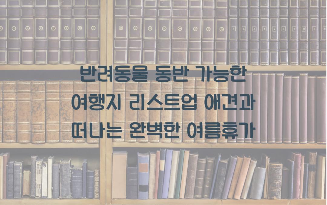 반려동물 동반 가능한 여행지 리스트업!