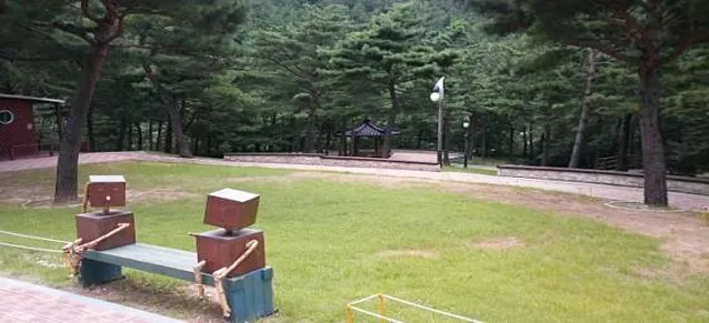 강릉솔향수목원