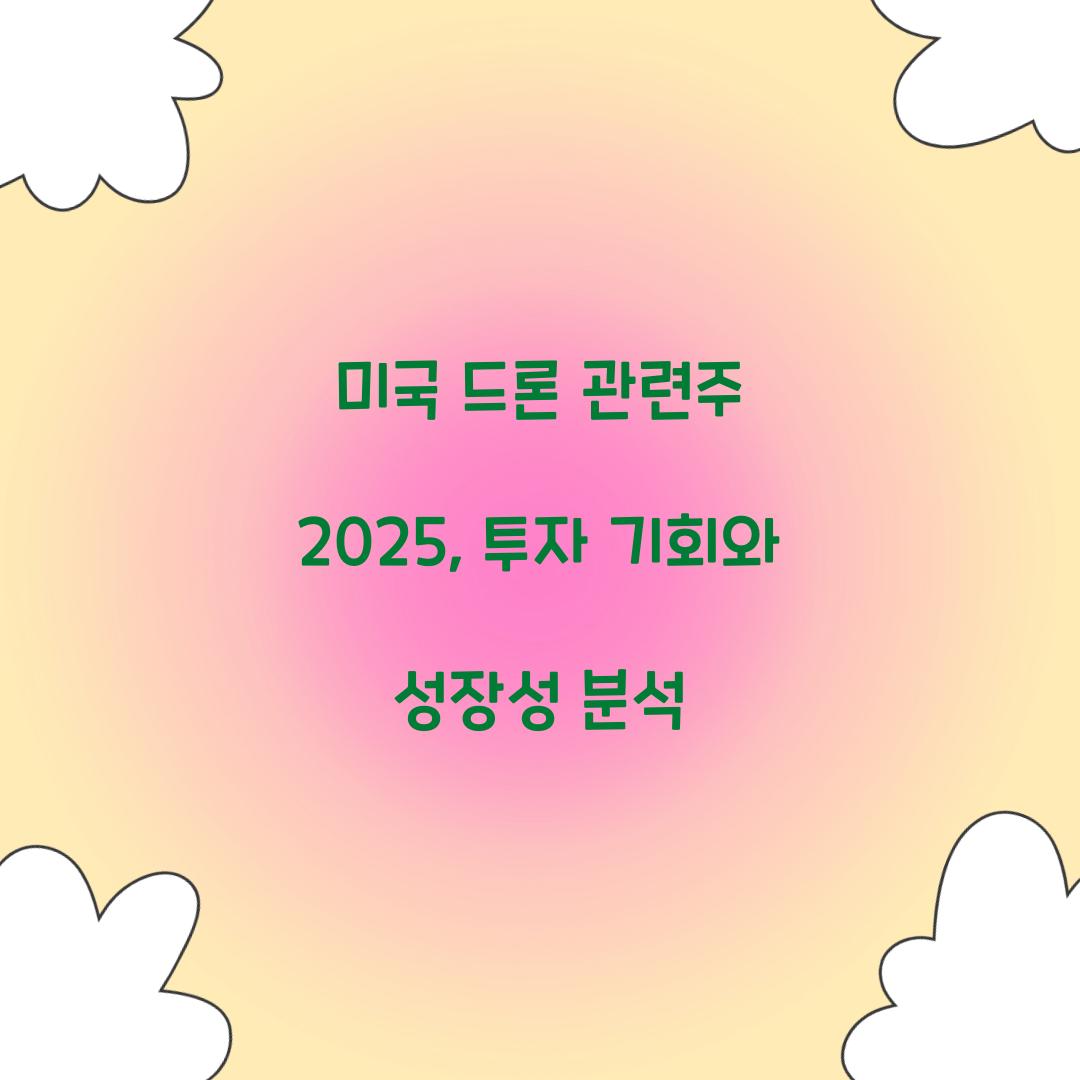 미국 드론 관련주 2025