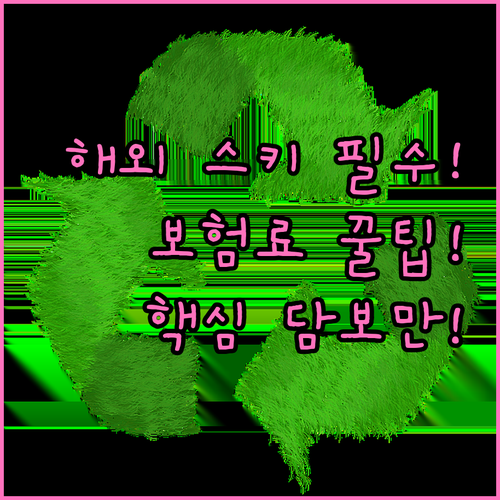 해외여행자보험 스키 특약 집중 설계 ..