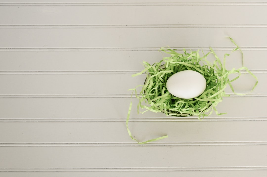 Egg
