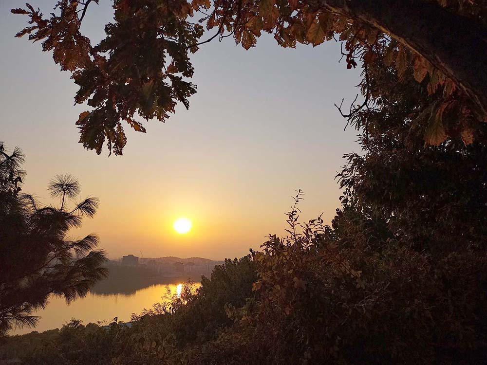 11월 건강한 도전: 10만보 걷기챌린지: 하늘공원