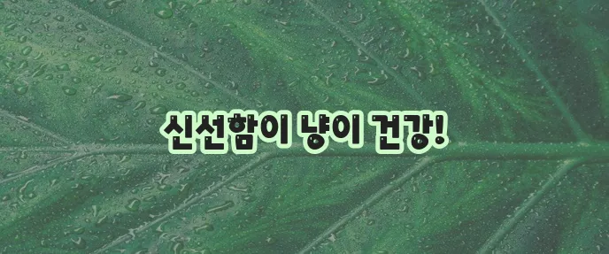 고양이 사료 유통기한 확인은 건강의 필수 길잡이입니다!