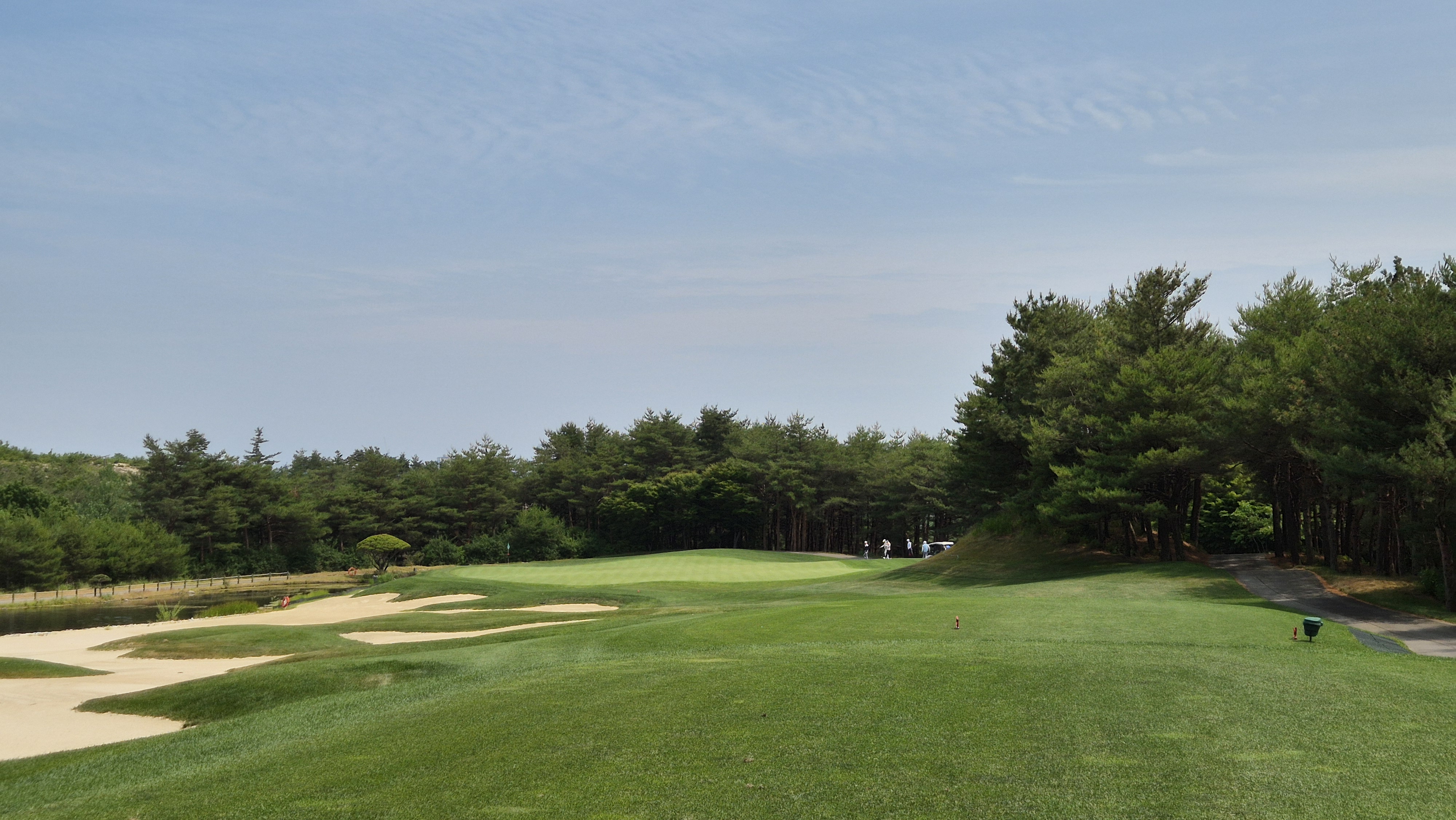 파인리즈cc 후기 및 코스사진