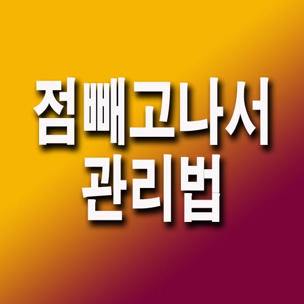 점 빼고나서 관리법